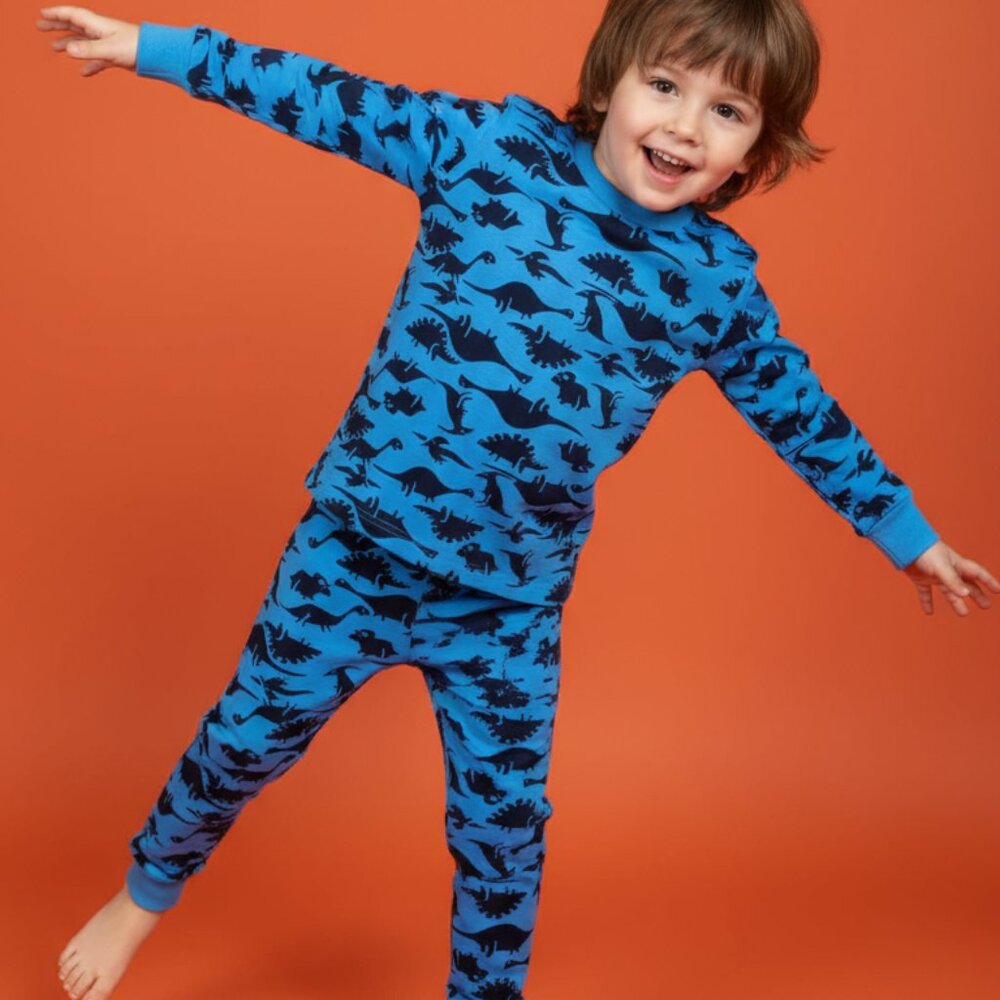 Boys Blue Shadow Dinosaur Kids Pajama Set , Soft cotton Andrew Scott NWT